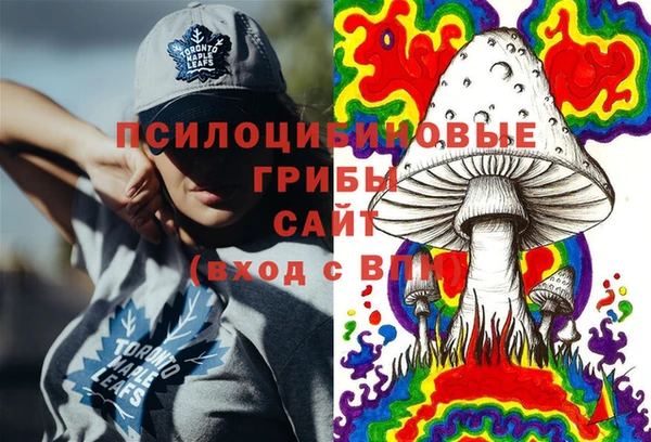 тгк Армянск
